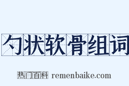 勺状软骨组词是什么意思的图片